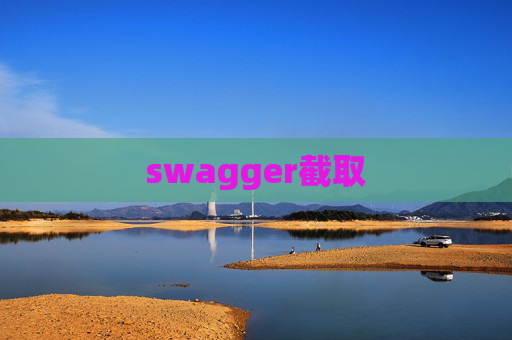swagger截取